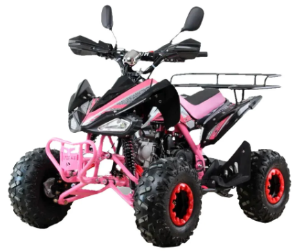 купить Квадроцикл MOTAX ATV T-Rex Super LUX 125 cc в Уфе - фото 